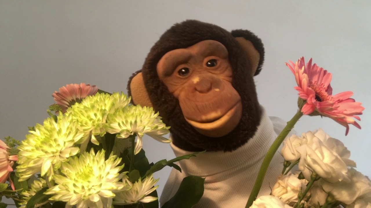 Mors dag &ndash; Alejandro