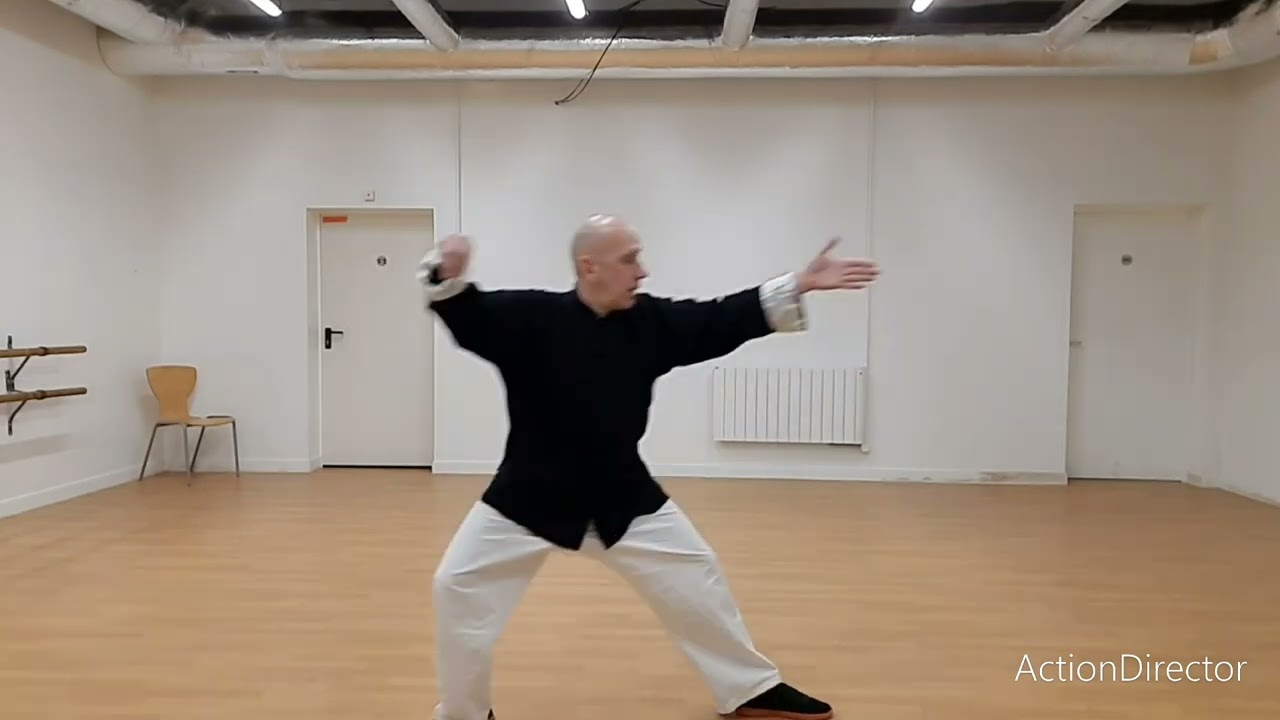 KUAI QUAN Yang style TUNG family     Taï Chi Chuan forme rapide