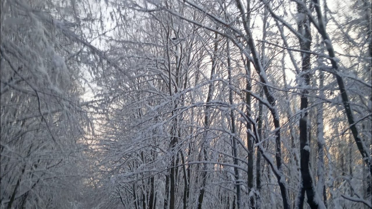 🍀YILMAZLA HAYATI KAÇIRMA💦 kanalı canlı yayında