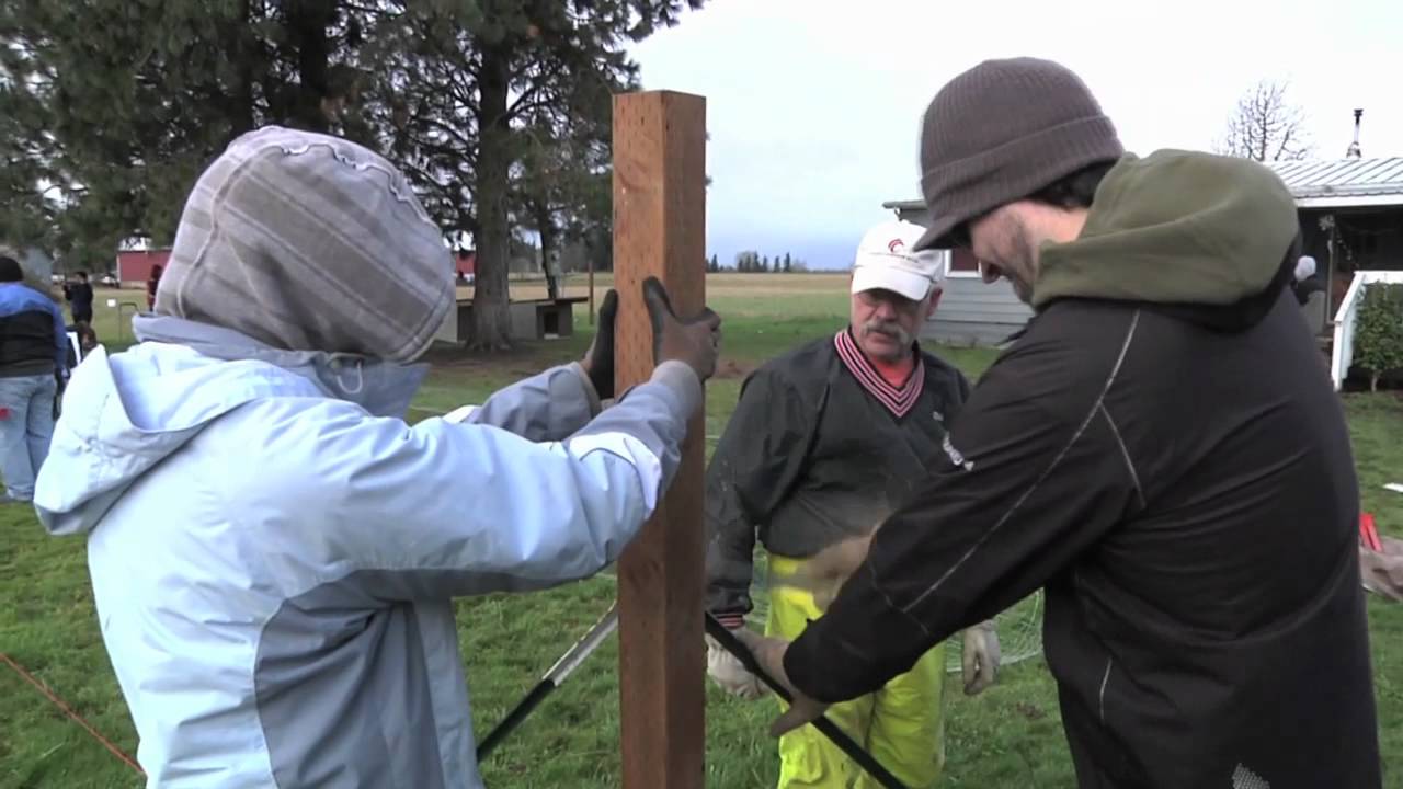 Fences For Fido - Jack & Hunter