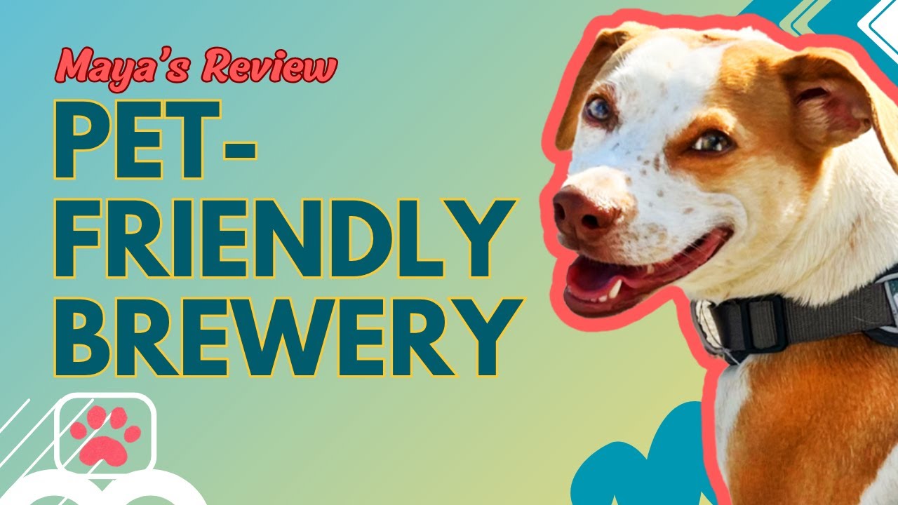 Dog Friendly Brewery in LA 2026 🐾 Golden Road Atwater Review #dogfriendly #brewery