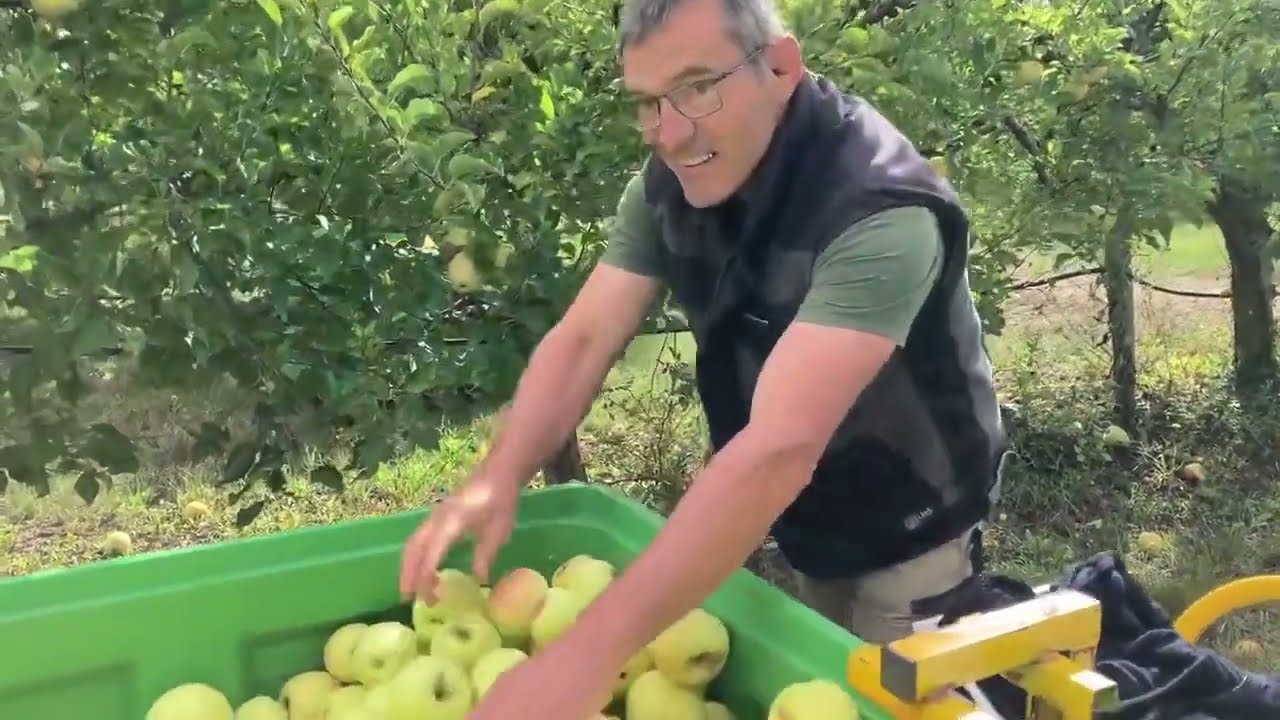 VIDÉO. Nos fermes en direct en Loir-et-Cher : pommes bio aux Vergers du Closeau à Mont-près-Chambord