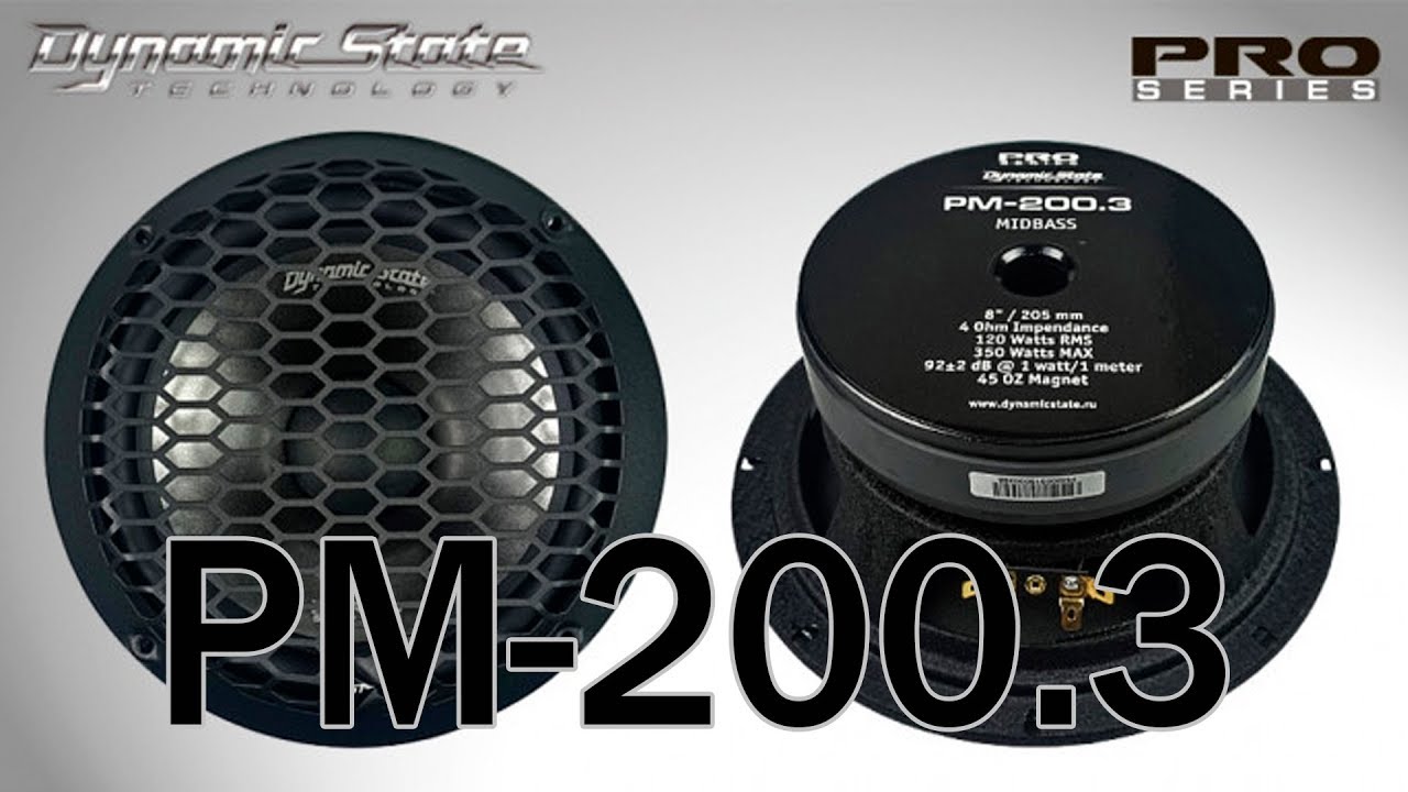 Dynamic State PM-200.3 PRO Series мидвуфер 8, распаковка, обзор, прослушивание в зя и фи