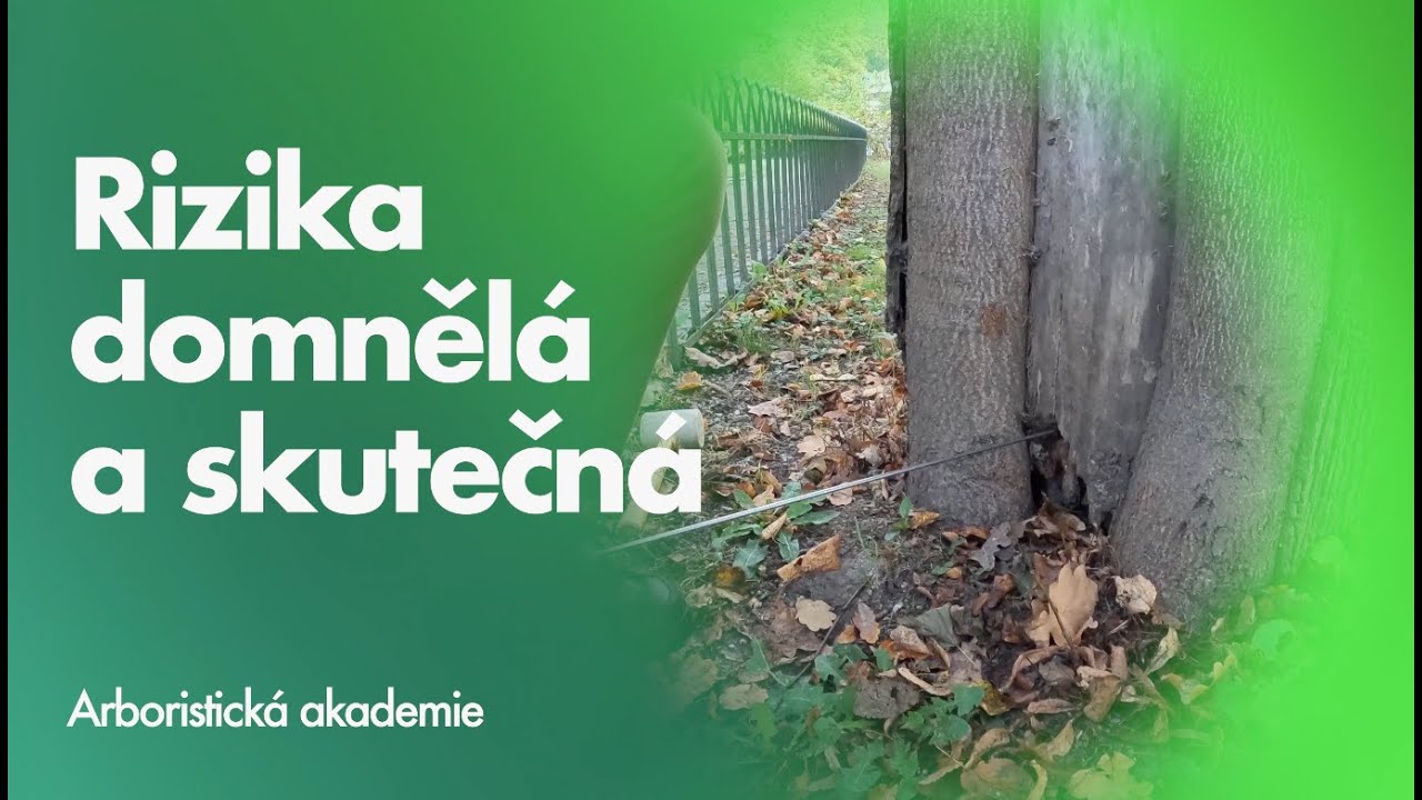 Trees - Actual and Perceived Risks