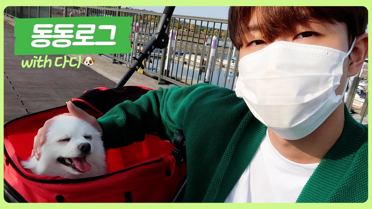 [동동로그] 동현이의 어느 멋진 날 With. 다디🐶