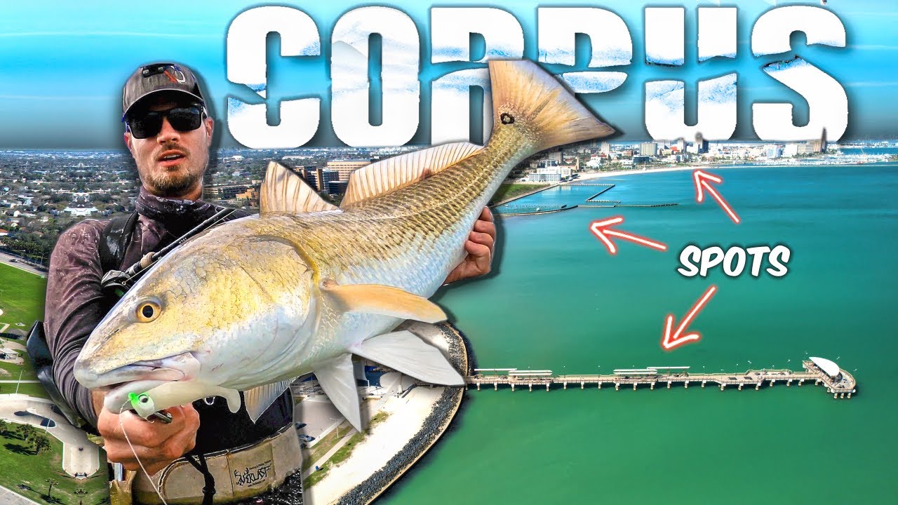 Urban Fishing Corpus Christi for Food - Catch and Cook