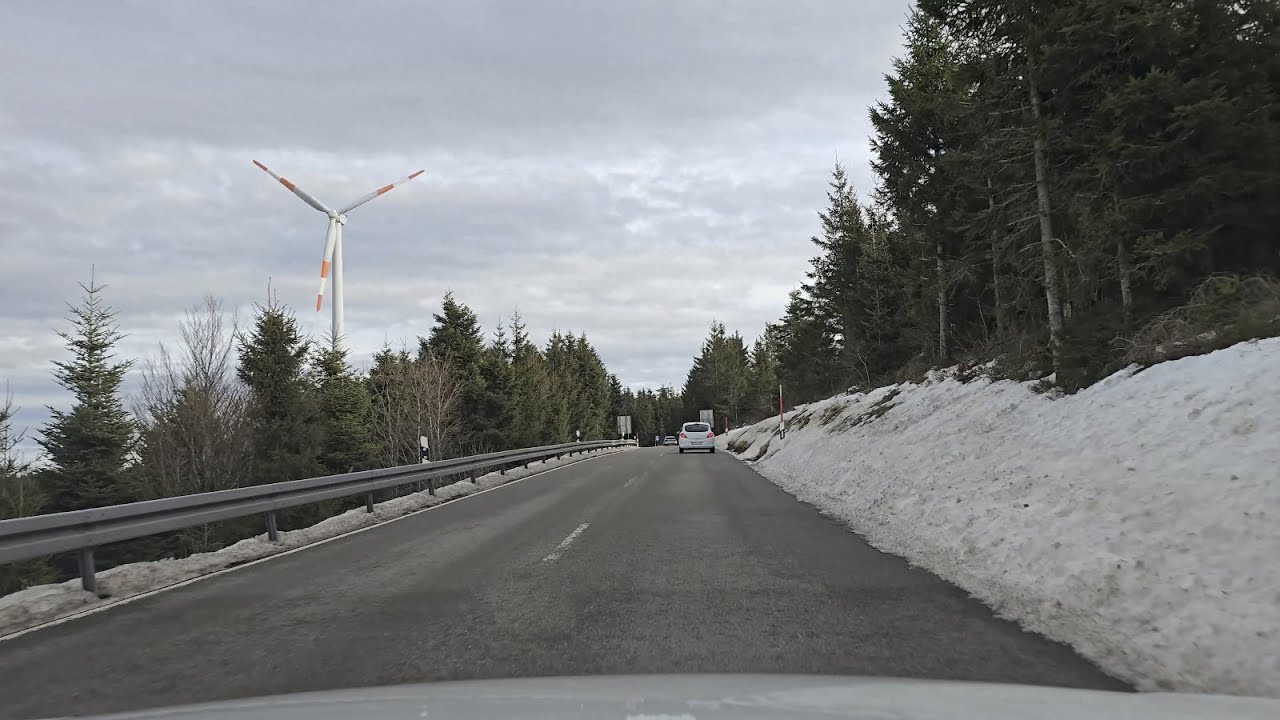 Cozy Drive through the black forest (Germany) #4