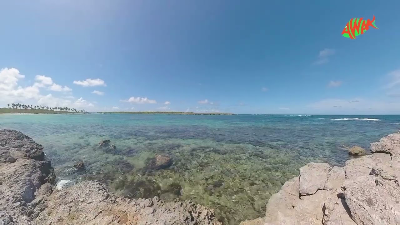 Promenade à Petite Terre (Septembre 2025)