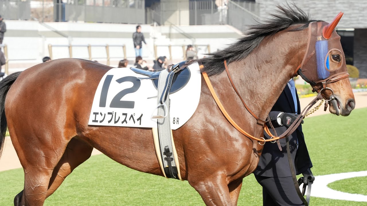 エンプレスペイ 　京都 4歳以上2勝クラス　パドック、返し馬、スタート、ゴール