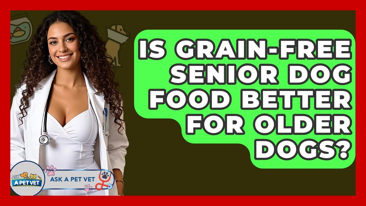 Is Grain-free Senior Dog Food Better For Older Dogs? - Ask A Pet Vet