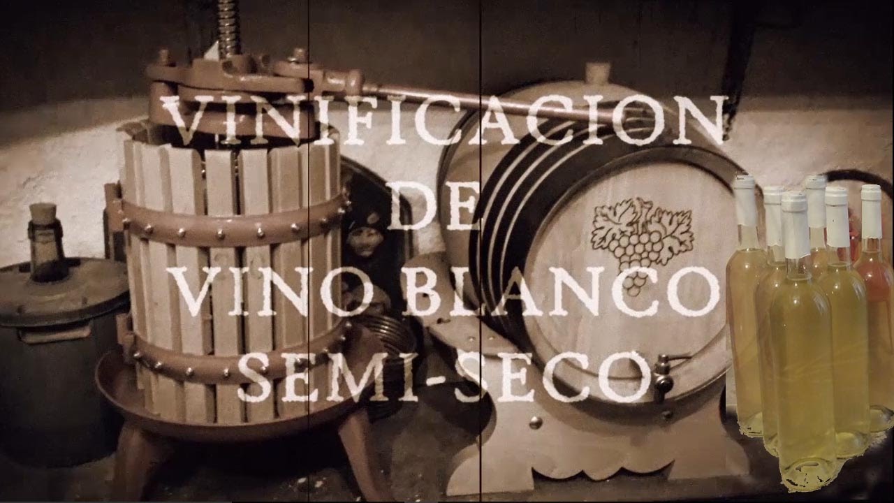 Como hacer vino blanco artesanal. Con uva Moscatel. PROCESO COMPLETO.