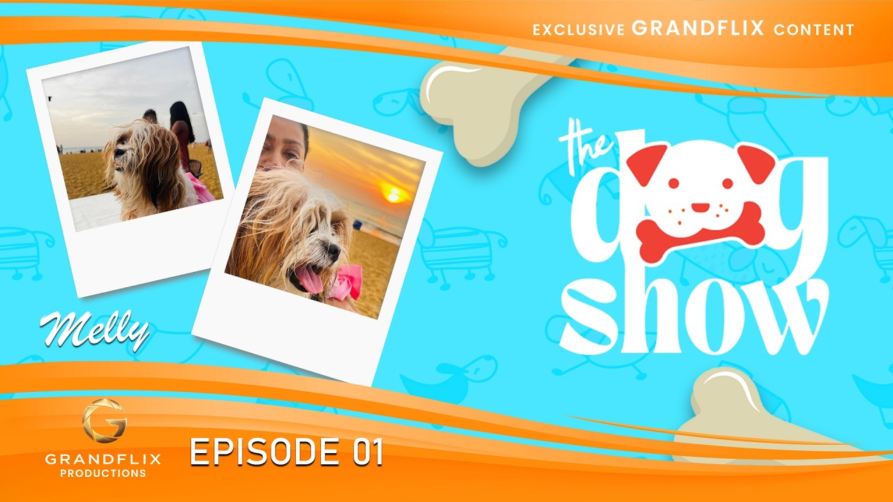 The Dog show : Episode 01 - මෙලී 🐶🐶