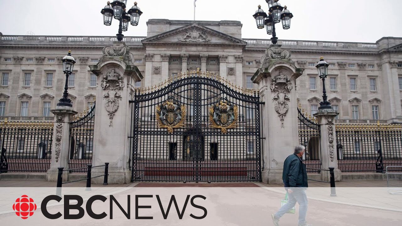 Royal aide resigns after comments about race