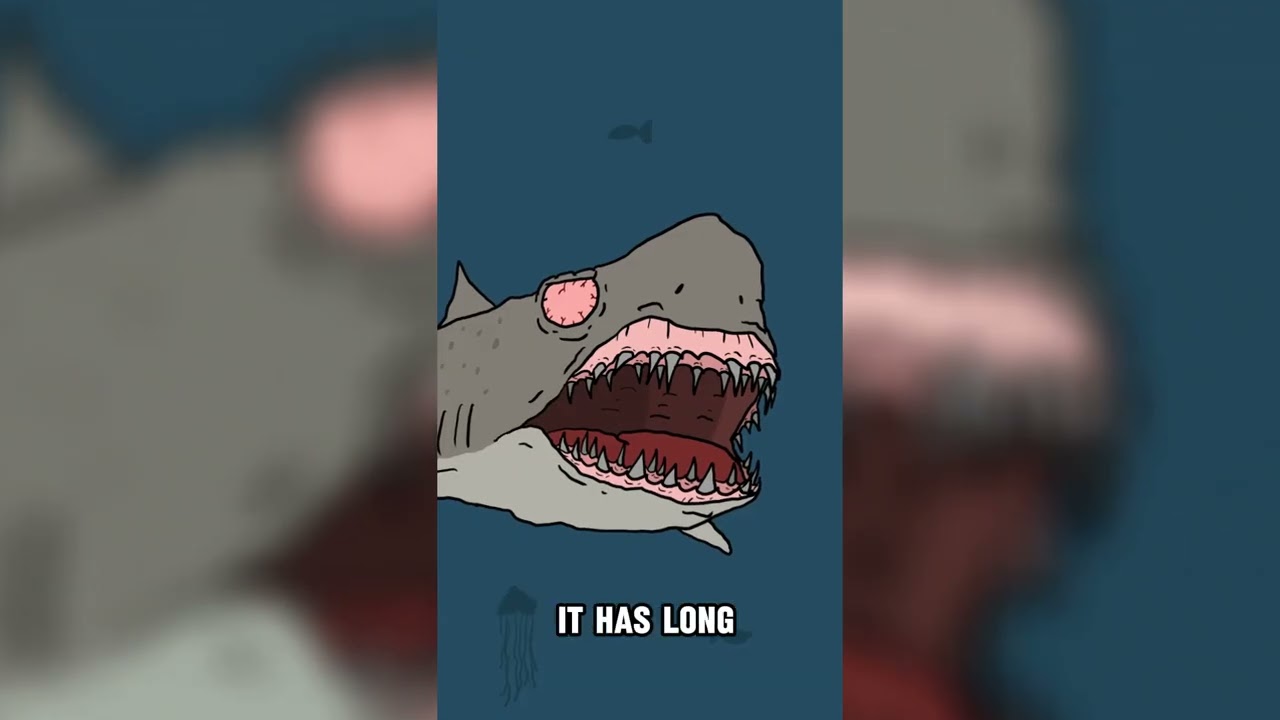 Sand Tiger Sharks &ndash; A Battle to Be Born