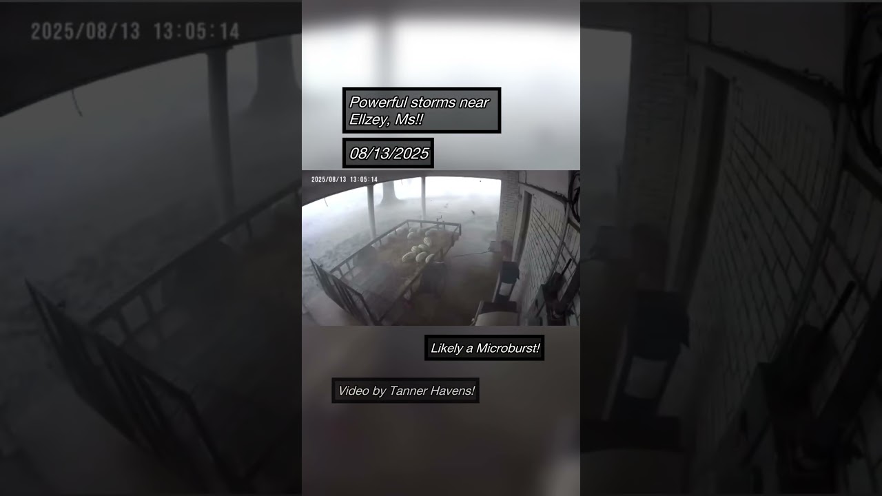 Wow! Damaging Winds Caught on Camera!