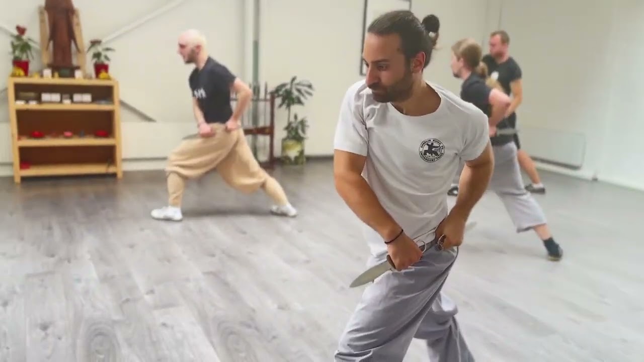 Shaolin shuang bi shou🙏🙏🙏