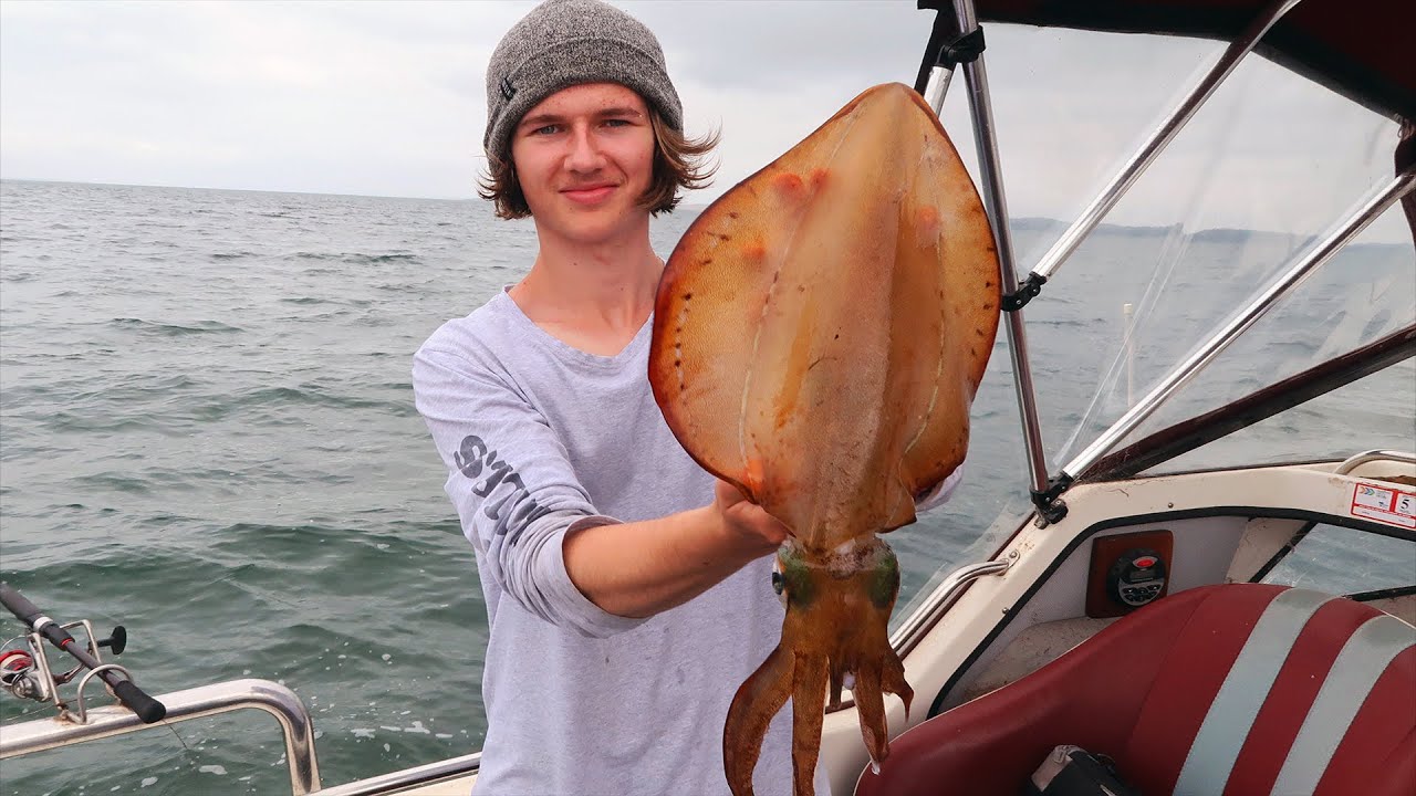 Big Shallow Water Squid | Unstoppable Westernport Sharks