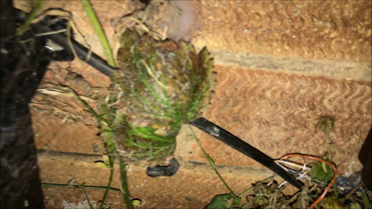 VIRGIN MEDIA .. worst install ever