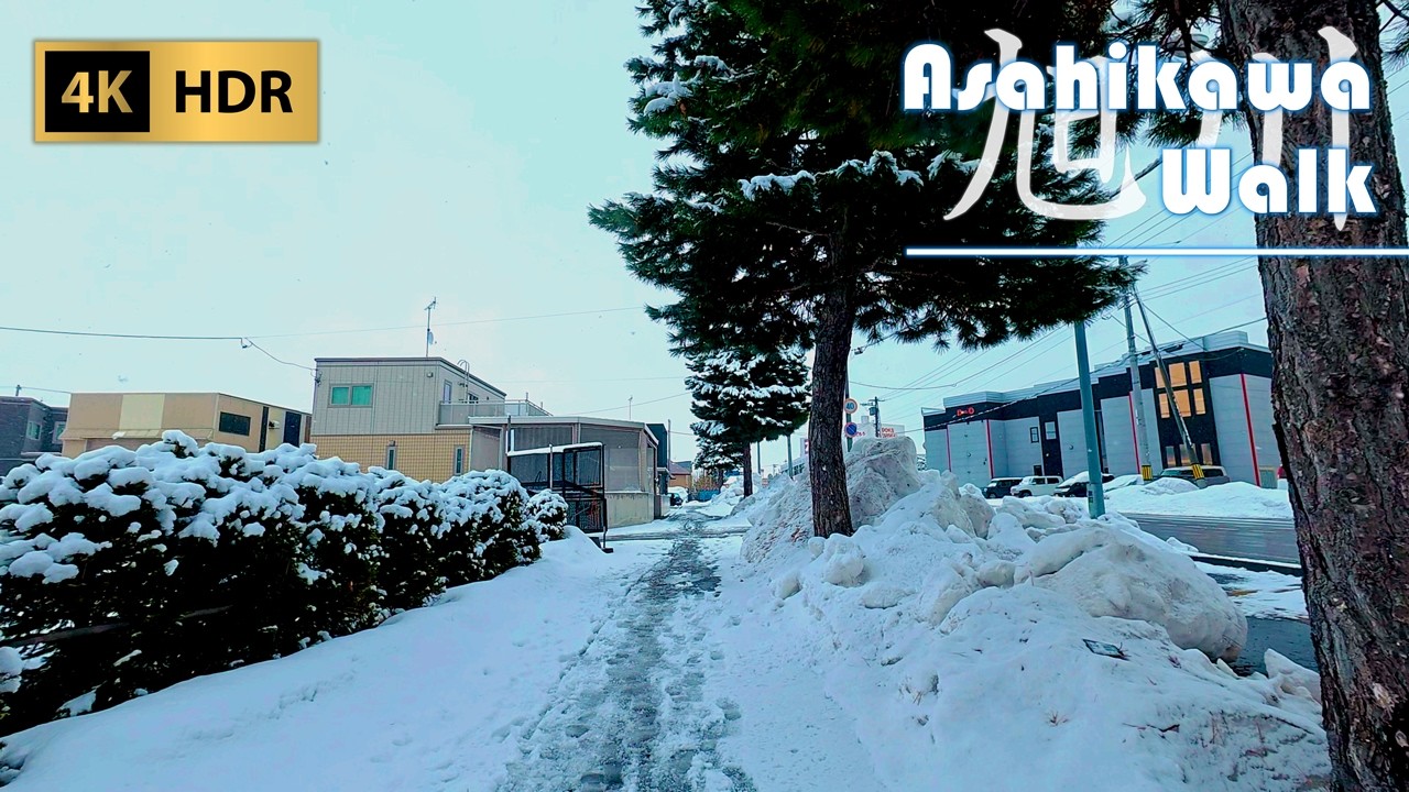 Cloudy Morning Walk Around Everyday Streets with Light Snow in Asahikawa | Hokkaido | Japan | 4K HDR