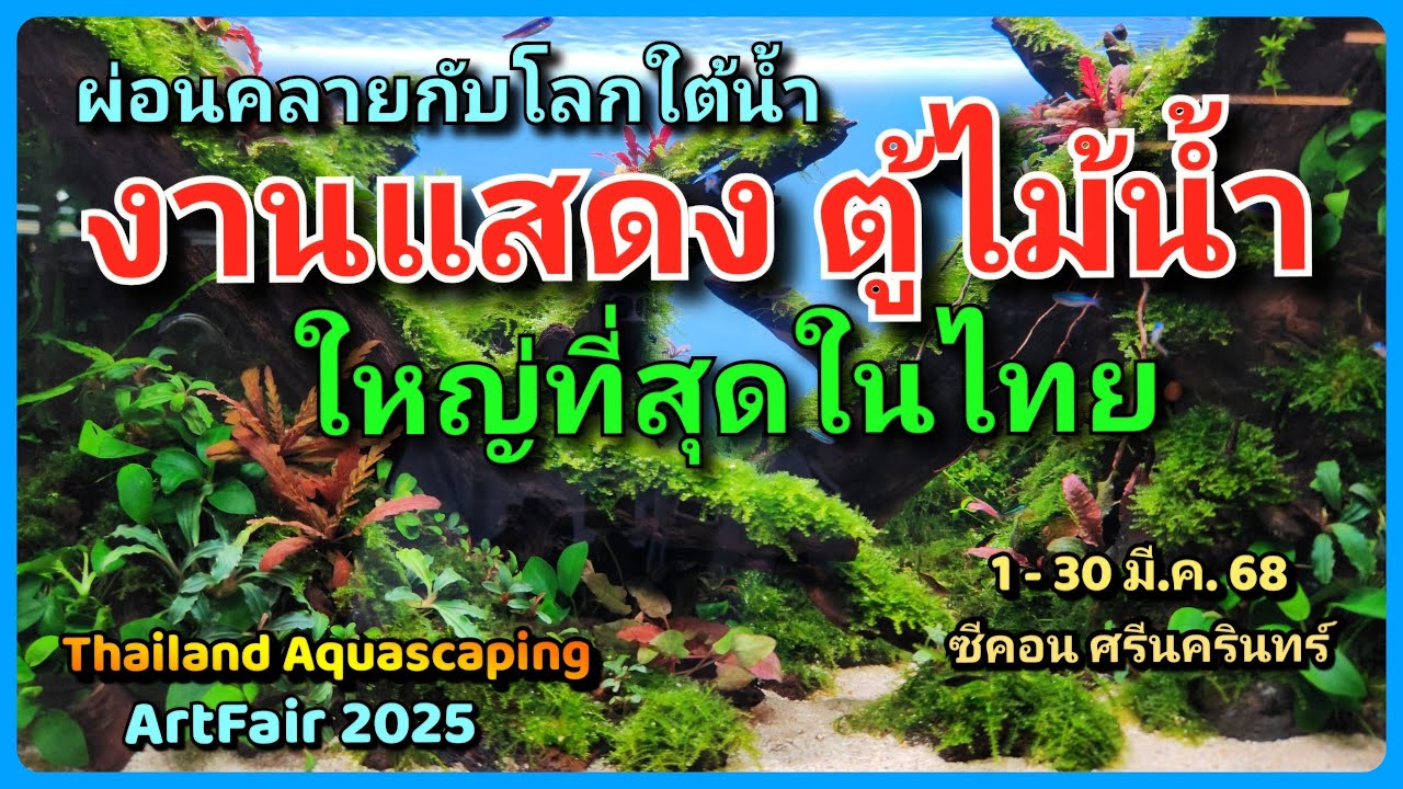 💦 ตื่นตากับ ตู้ไม้น้ำ สุดอลังการ ! 👍AquaScaping ใหญ่ที่สุดในประเทศ 🎉 1-30 มี.ค. 68 ซีคอน ศรีนครินทร์