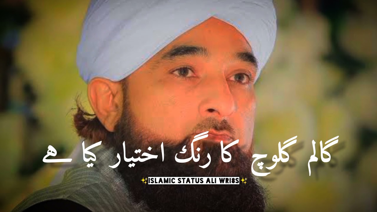 Muhammad Raza Saqaib Mustafai  |Sad Beyan|Islamic Sad Status |Urdu Lines |Islamic Status Ali Wri8s |
