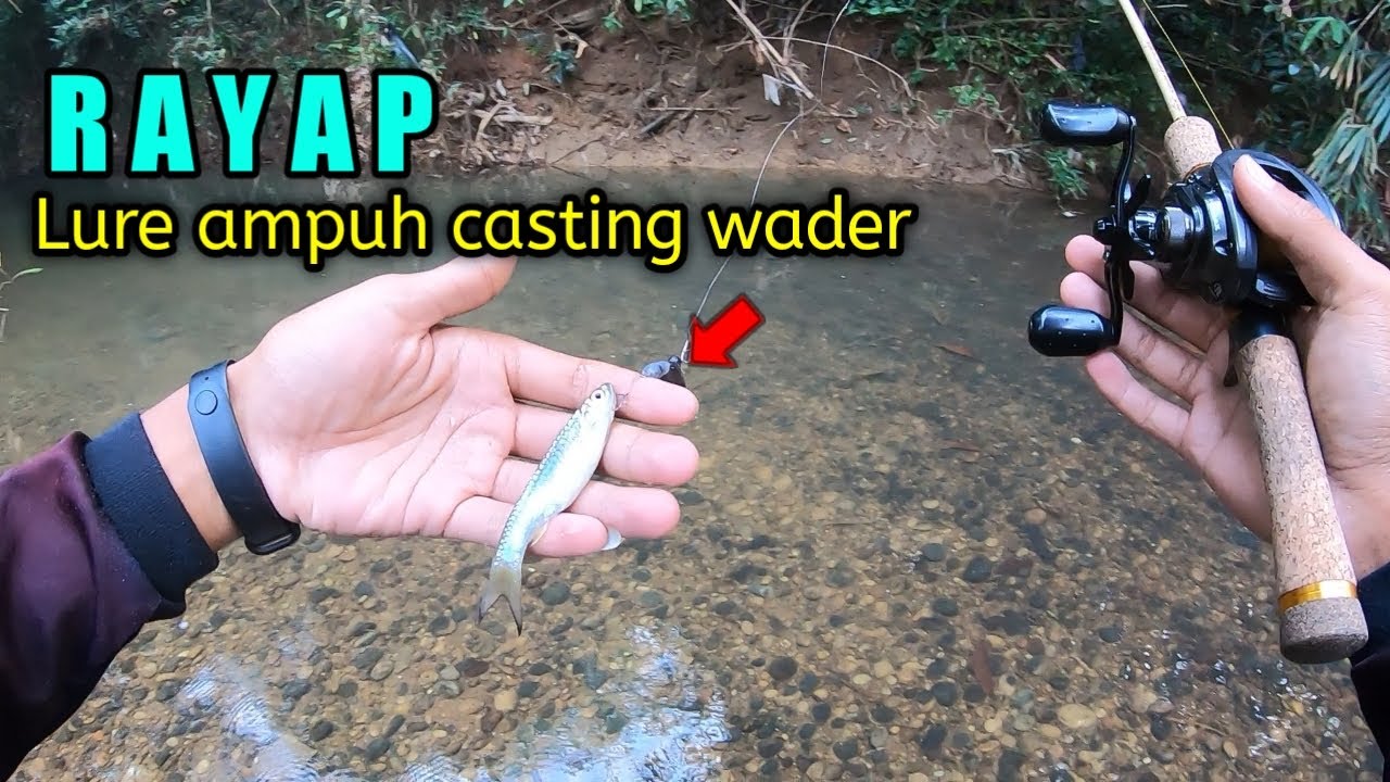 PERTAMA KALI❗Casting Wader Pari Dengan Lure Rayap || Ternyata Wader Bisa Di Casting