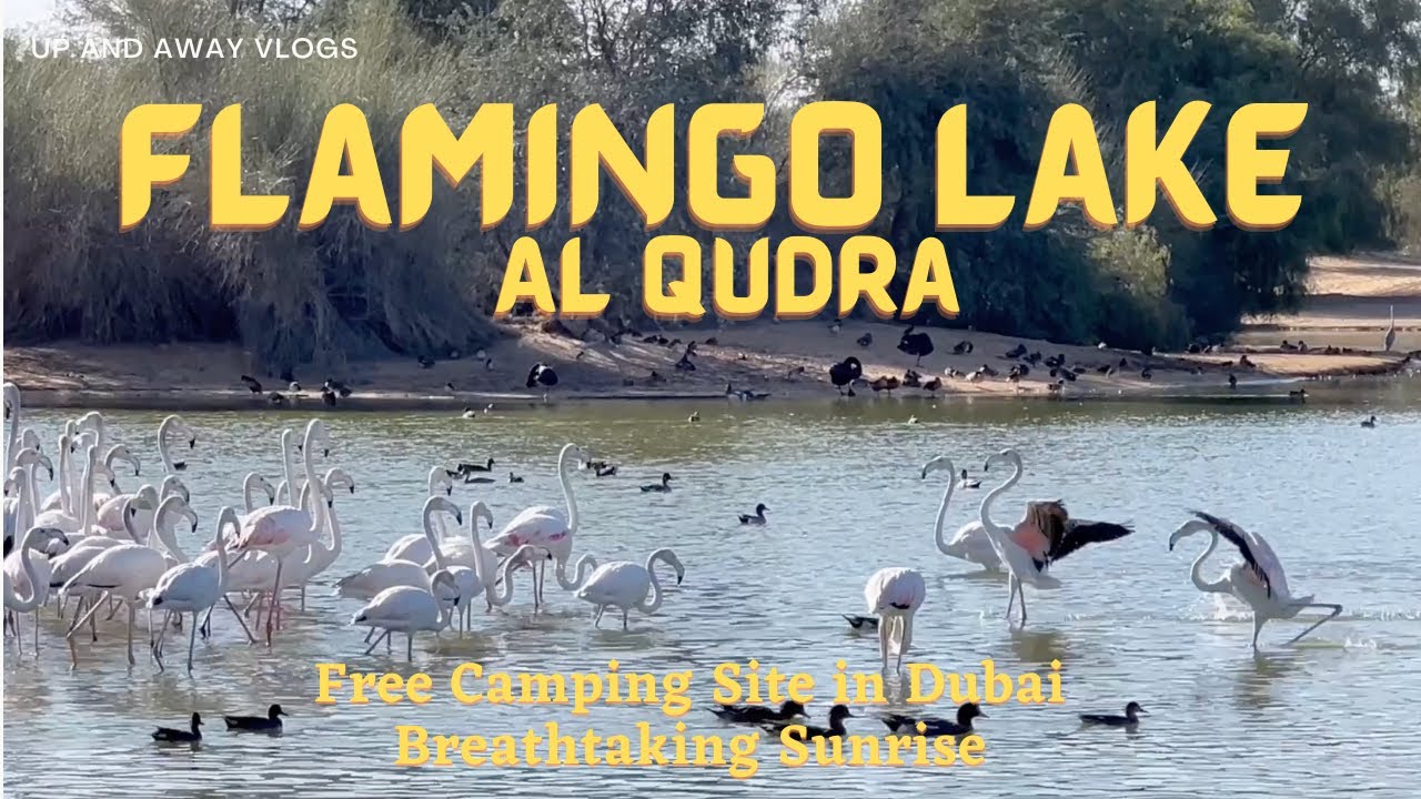 Camping at Flamingo Lake Al Qudra Dubai | Free Camping Site || Dubai Vlogs