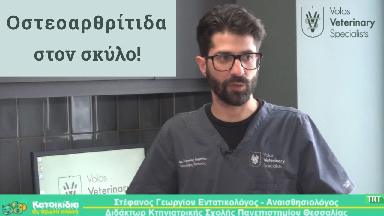 Οστεοαρθρίτιδα σκύλου! Στέφανος Γεωργίου Εντατικολόγος Αναισθησιολόγος, Volos Veterinary Specialists