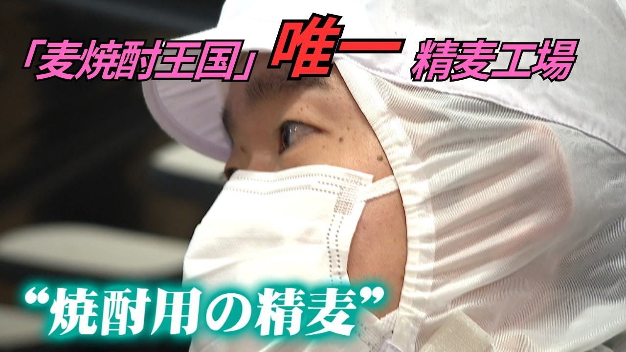 「麦焼酎王国」の大分県で精麦を担いたい「一生かけて」県内唯一の工場が立ち上がる【アトツギ】