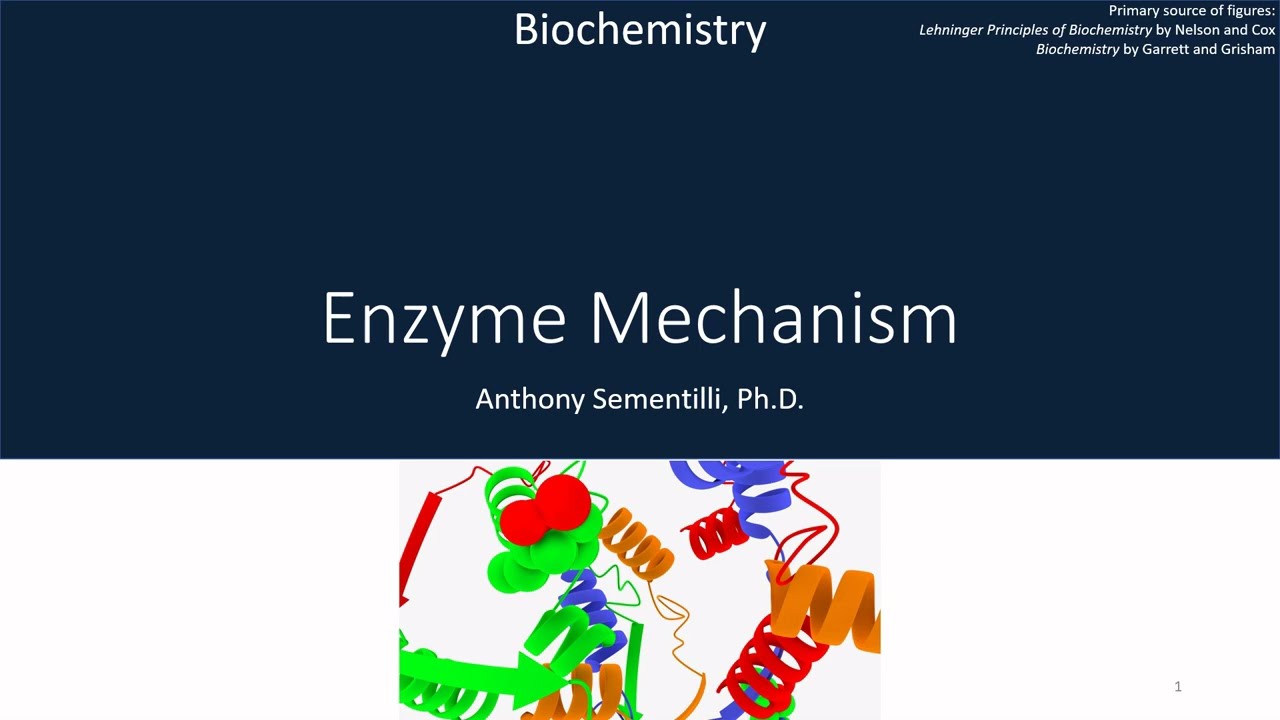 Biochemistry | Lecture 09: Enzyme Mechanism