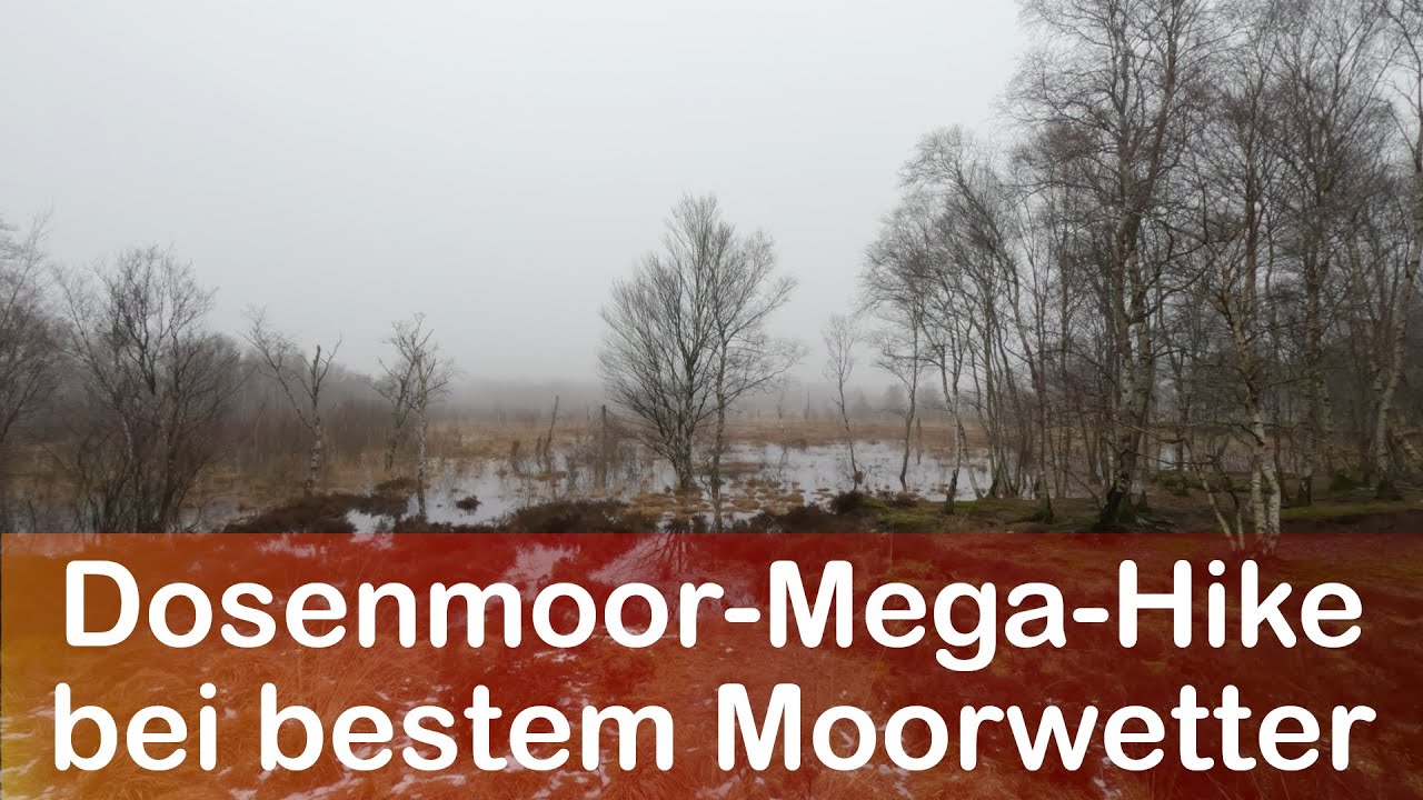Megawanderung zwischen Neumünster und Bordesholm über Dosenmoor