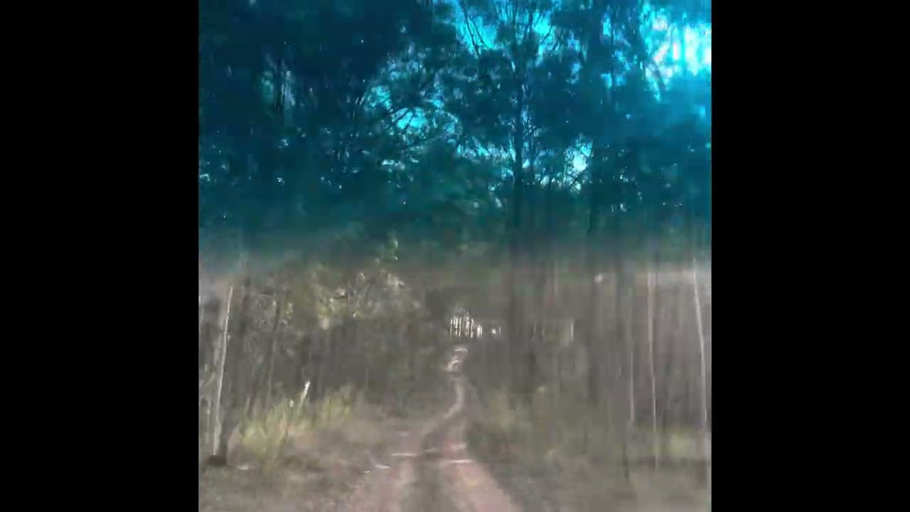 Watagan Mtn - 4WD & Hiking Adventure #4wd #hiking #hikingadventures #4wdadventure #Watagans