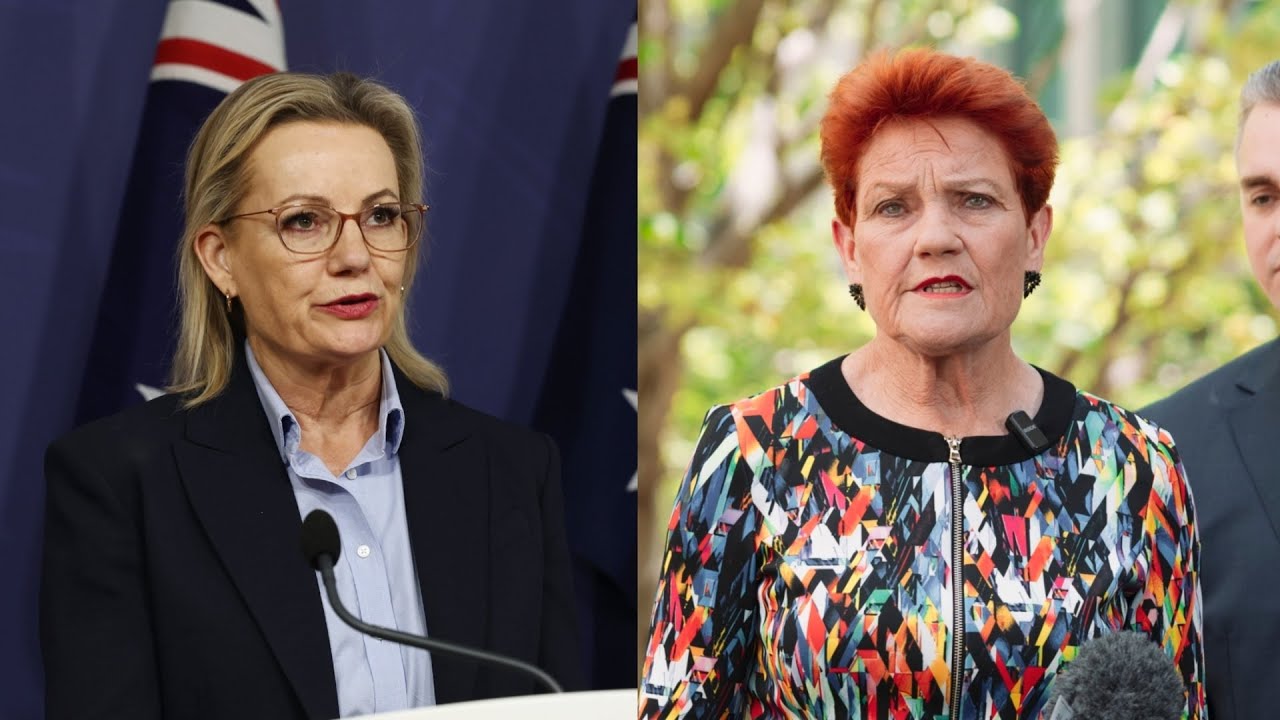 ‘They don’t have policies’: Why ‘everybody’ is departing Coalition for One Nation