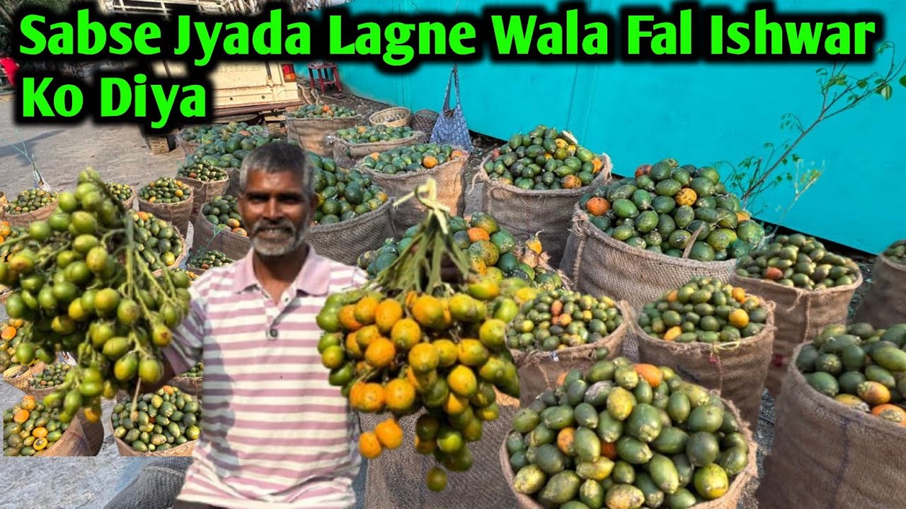 Sabse Jyada Lagne Wala Fal Ishwar Ko Diya | Pahadi Life 