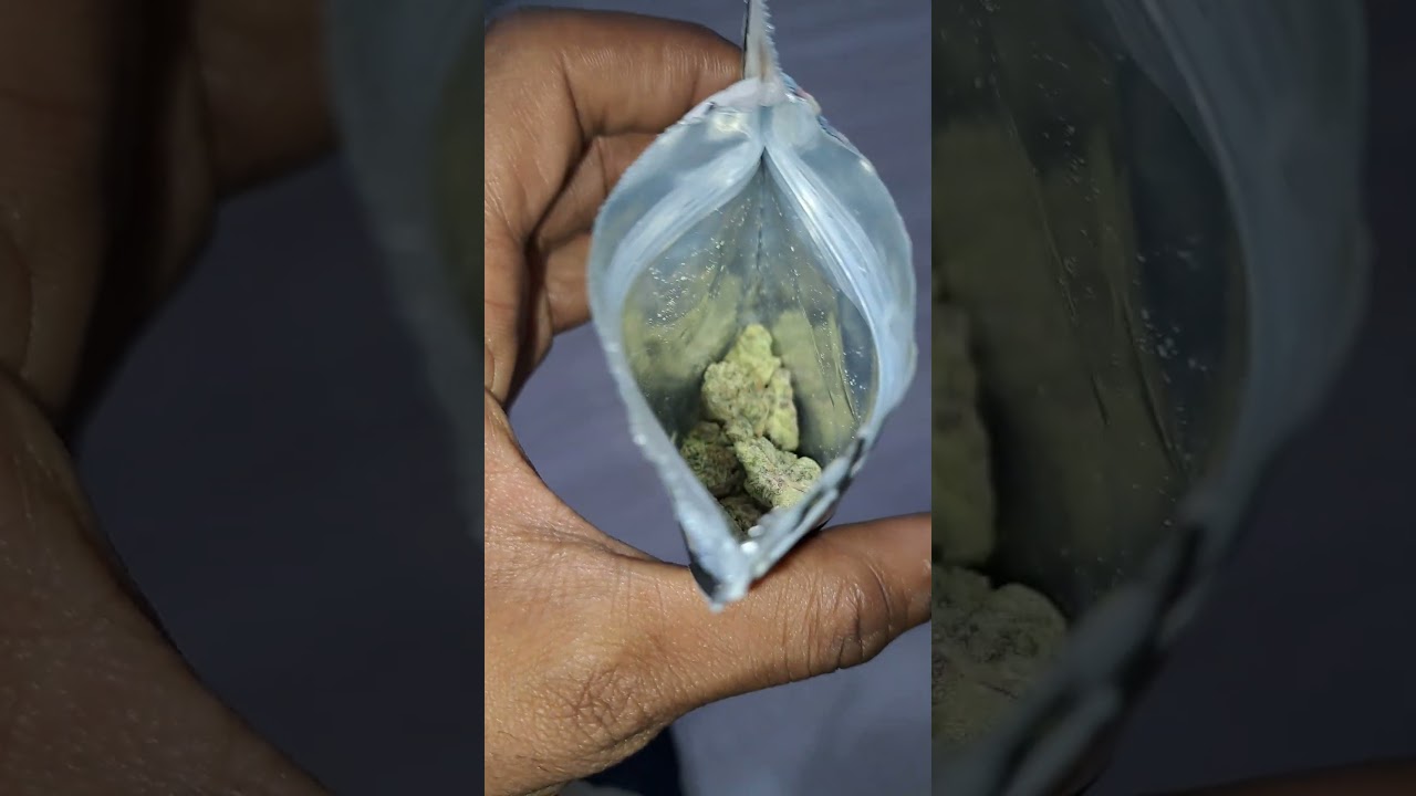 dragon trash by Ted's buds #tedsbuds #exotic #gooniez #dragontrash #Miami #jellycannabis
