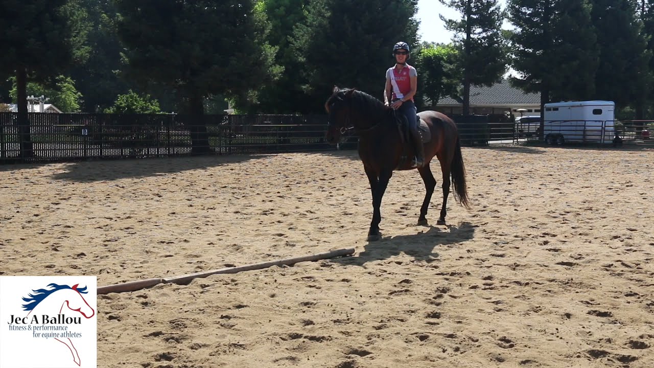 Improving your Horse's Coordination and Balance