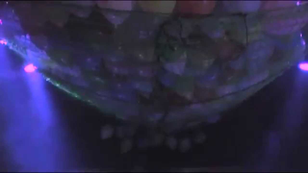 CLUB2000 aftermovie Atmosphere