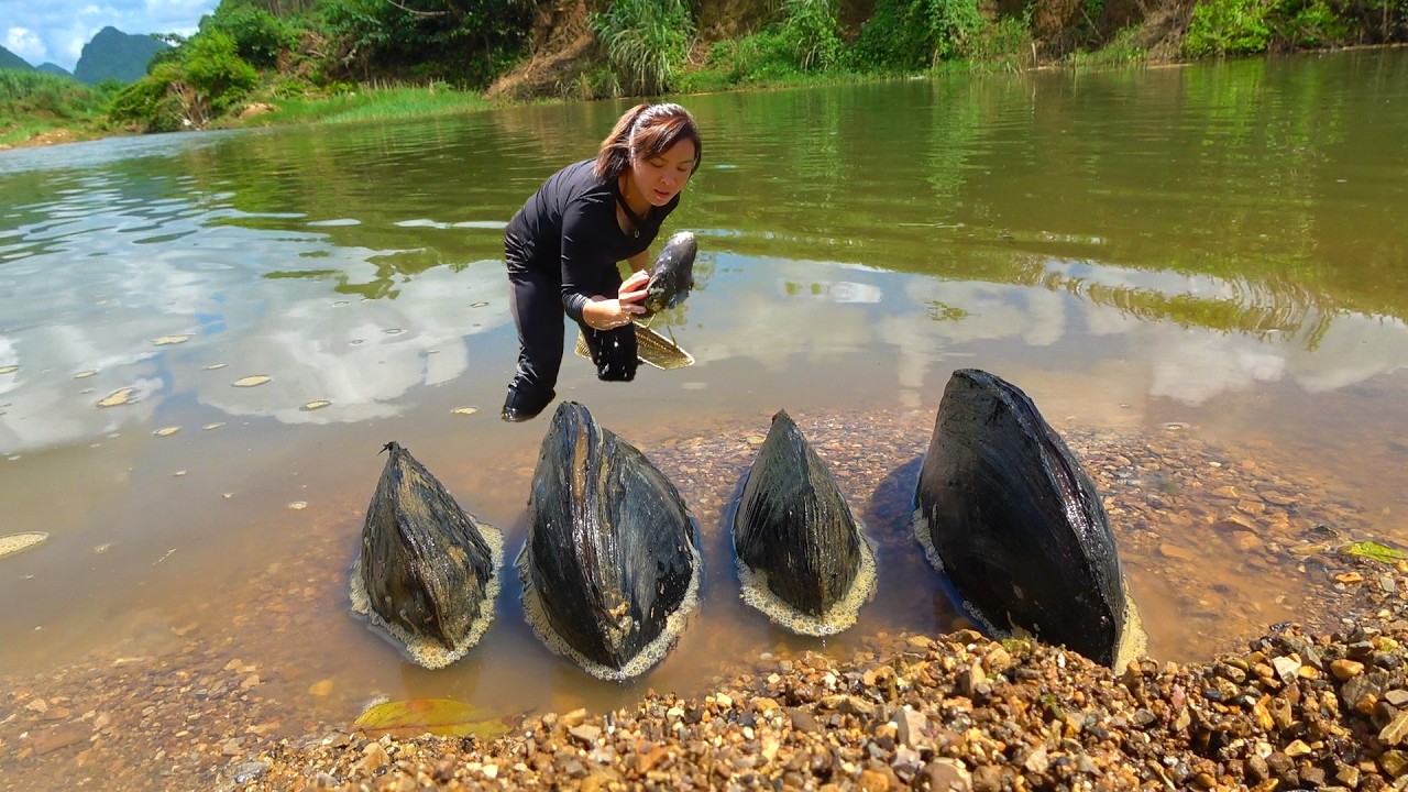I pulled out a giant clam from the waterfall, filled with high-quality pearls