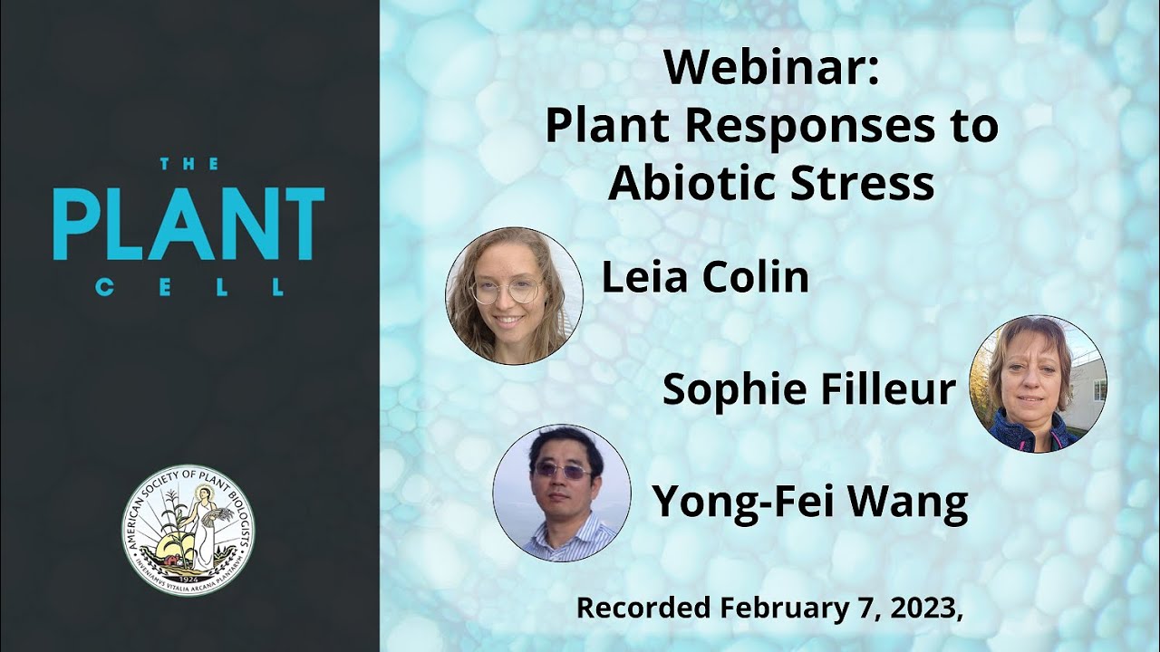 Plant Cell Webinar: Plant Responses to Abiotic Stress