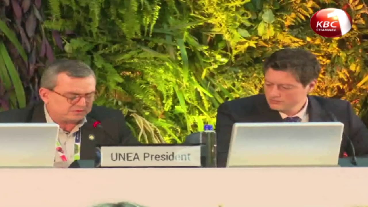 kenya has committed to strengthen and support United Nations Environment Programme