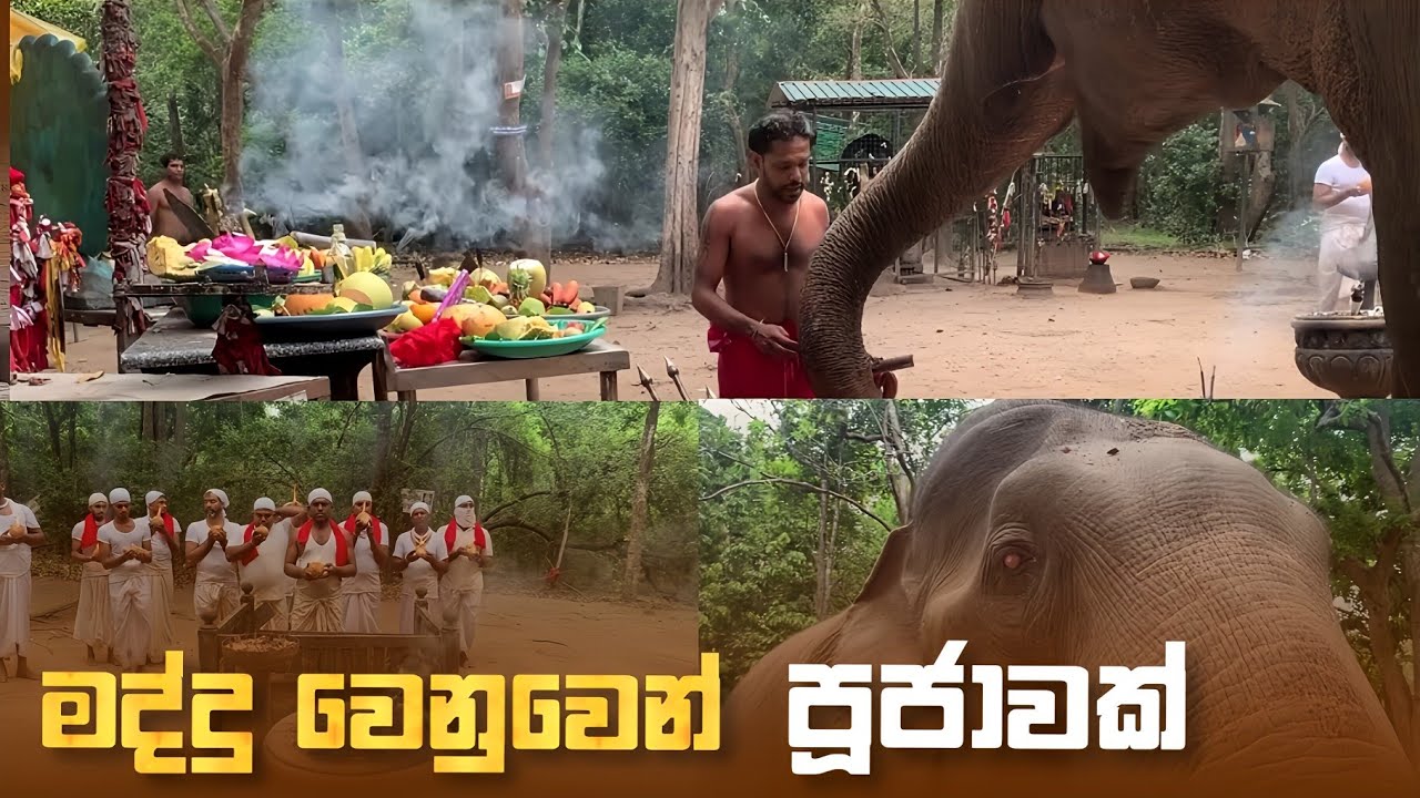 කැඹිලිත්තේ 