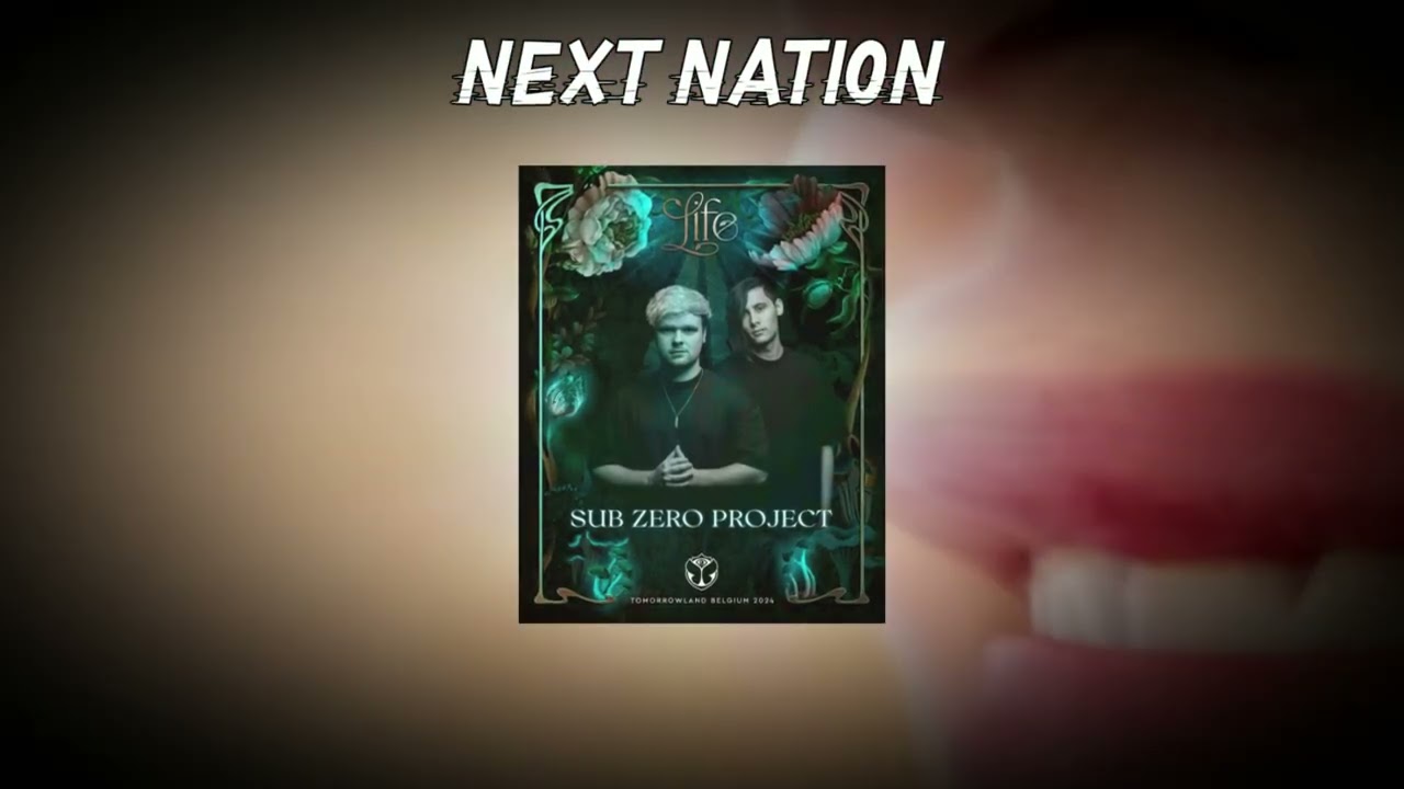 [Unreleased] Dimitri Vegas & Like Mike & Martin Garrix - Tremor (Sub Zero Project Remix)