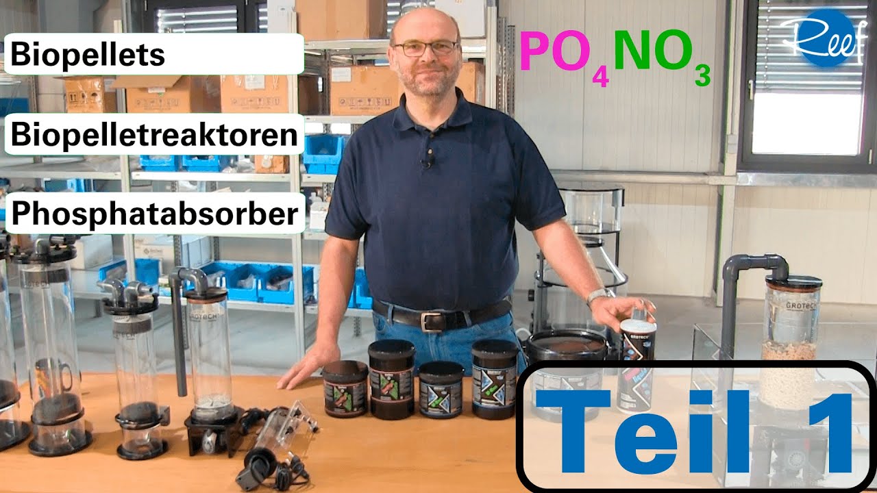 Phosphat & Nitrat reduzieren - Teil1: Was sind Biopellets und wie funktioniert ein Biopelletreaktor?