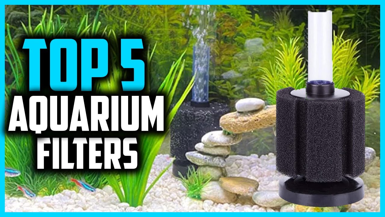 ✅ Top 5 Best Aquarium Canister Filters in 2026