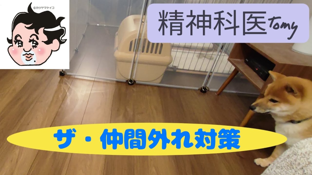 仲間外れにされたら、むしろラッキーかもしれません#精神科医tomy #アドバイス