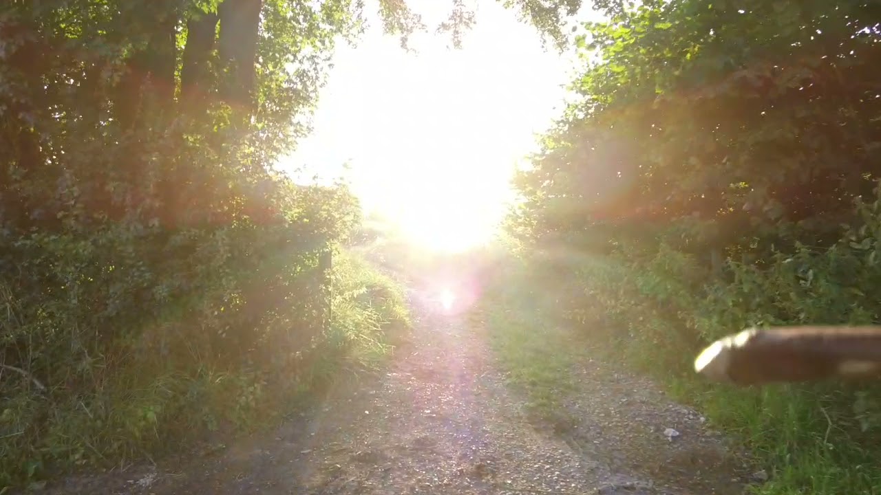 UKFN 2021 - Walking the track