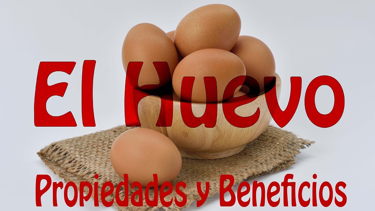 El Huevo - Propiedades y Beneficios 🥚🍳