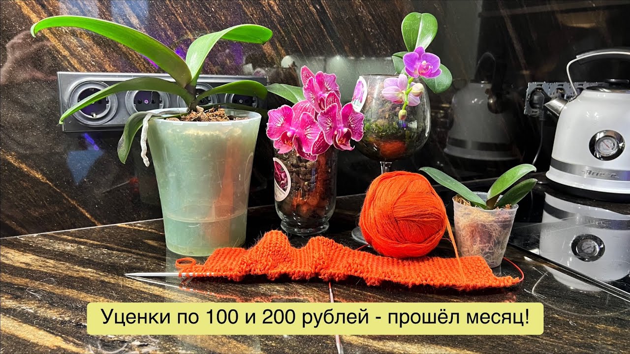 Азиатские подростки 1,7 и 2,5 из @ОрхоРай  за 100 и 200 рублей спустя месяц! 🔥🔥🔥