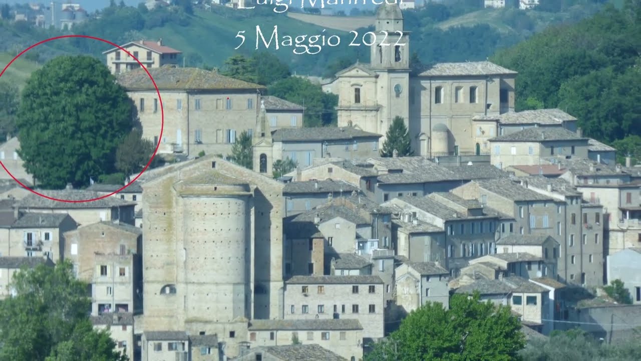A Montottone nel Piceno il più bel Tiglio delle Marche, con Valido Capodarca (manortiz)