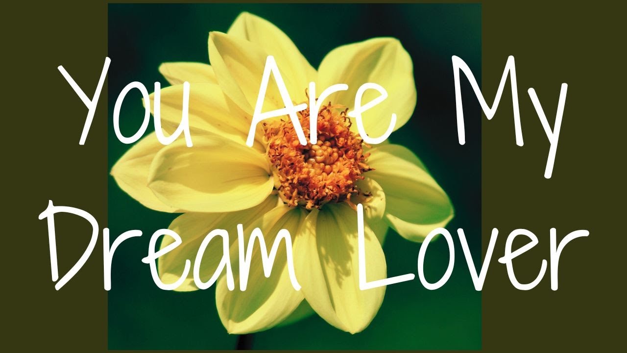 You Are My Dream Lover